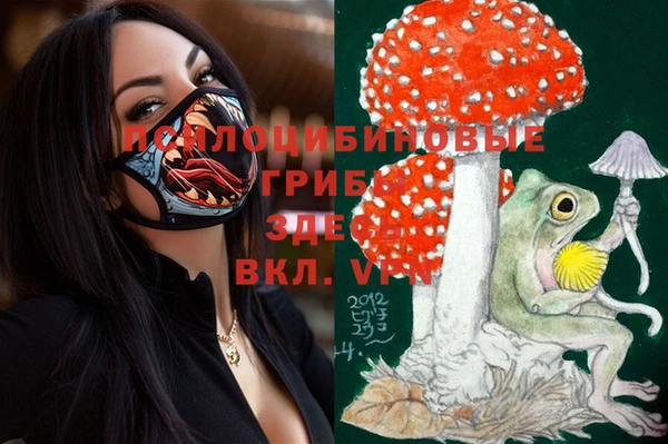синтетический гашиш Инта