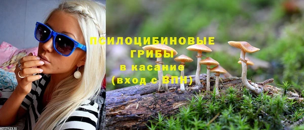 синтетический гашиш Инта