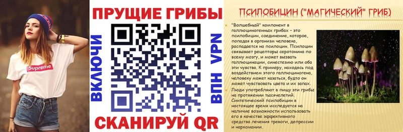 Купить закладки  Знаменск  Галлюциногенные грибы MAGIC MUSHROOMS 