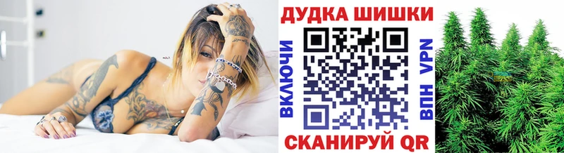 Купить закладки  Знаменск  Канабис конопля 